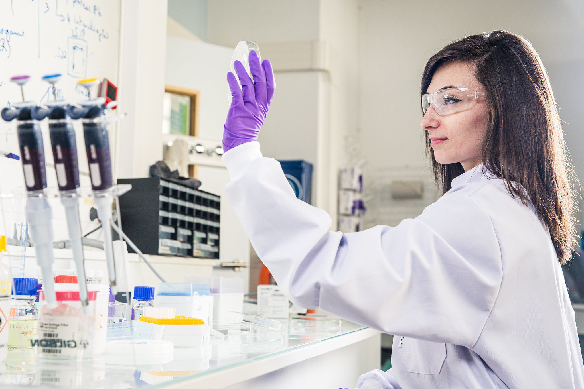 development laboratories